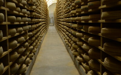 The Production: Inside the Fruitière