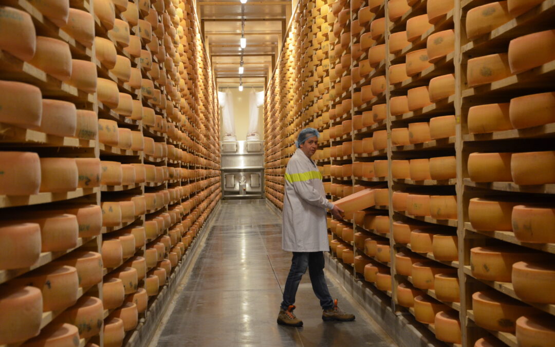  A Taste Journey: Signature Cheeses