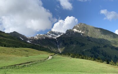Rooted in the Mountains