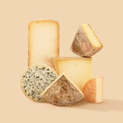 Mountain Cheeses