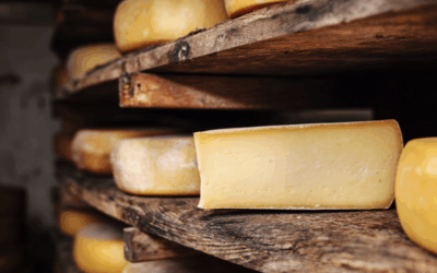 Surprising Facts About Cheese