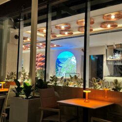 M&T Singapore Terrace_1